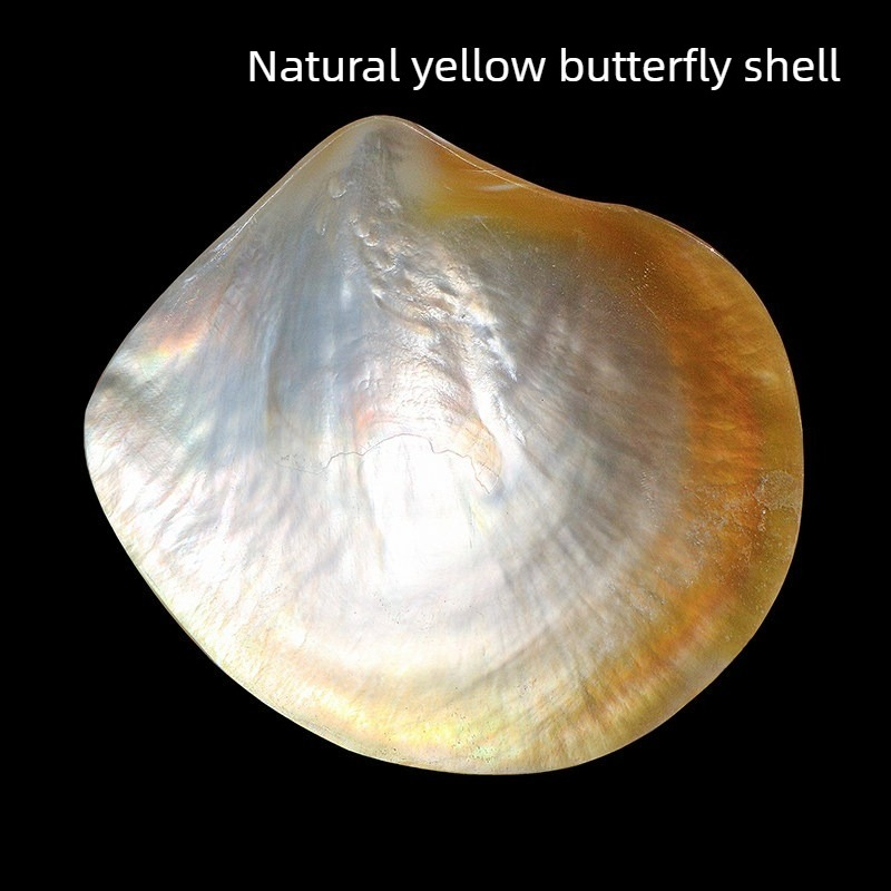 Aquarium Fish Yellow - Натуральные желтые ракушки-бабочки Beibei для аквариумов,