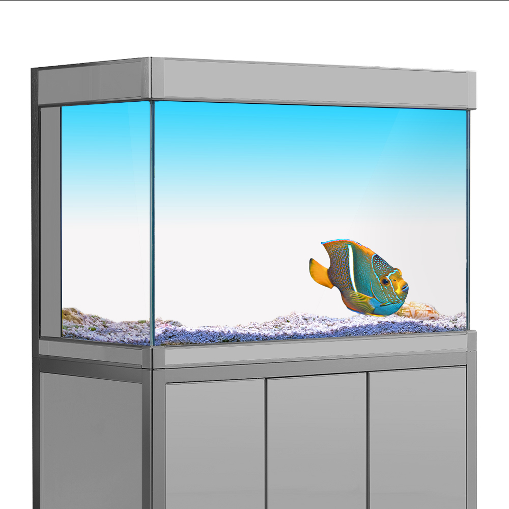 Aquarium Fish Yellow - Фоновая наклейка для аквариума, белый, желтый,