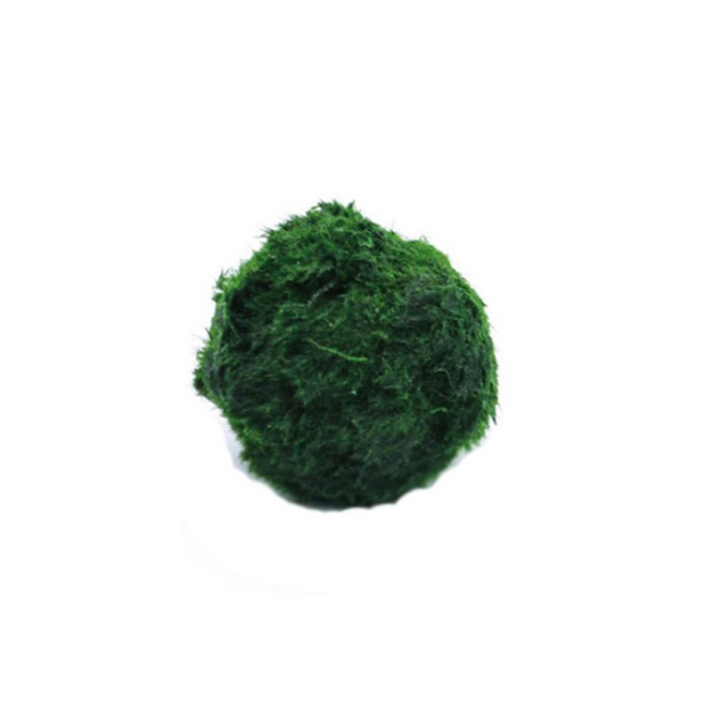 Aquarium Fish Ball - Шарики из мха Marimo, живое аквариумное