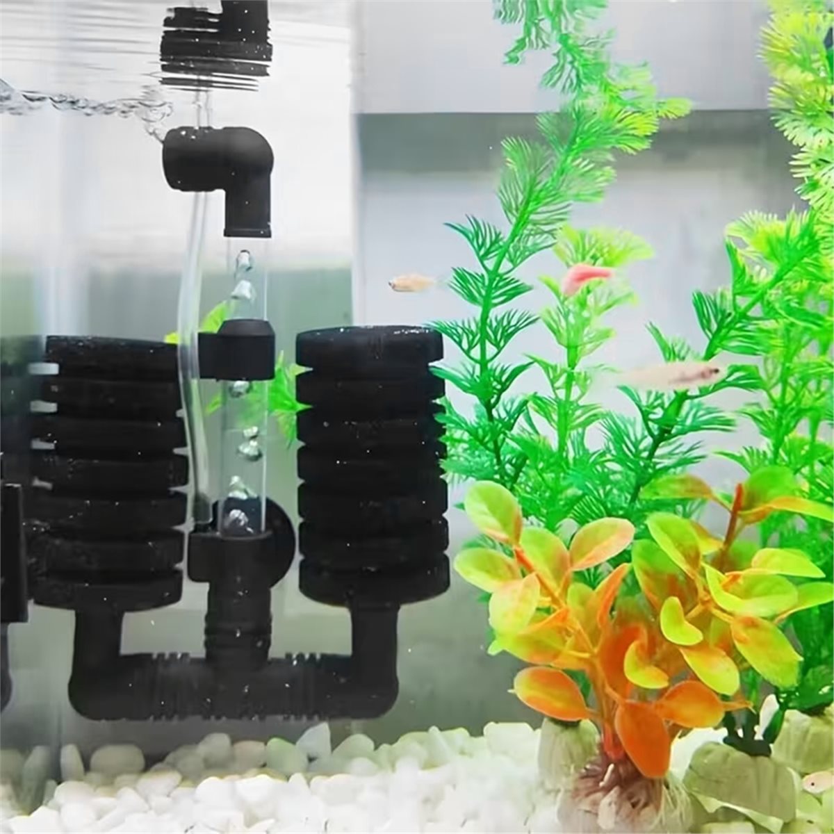 Aquarium Fish List - 【СОВЕТУЮЩАЯСТЬ】 Набор фильтров для аквариума: воздушный