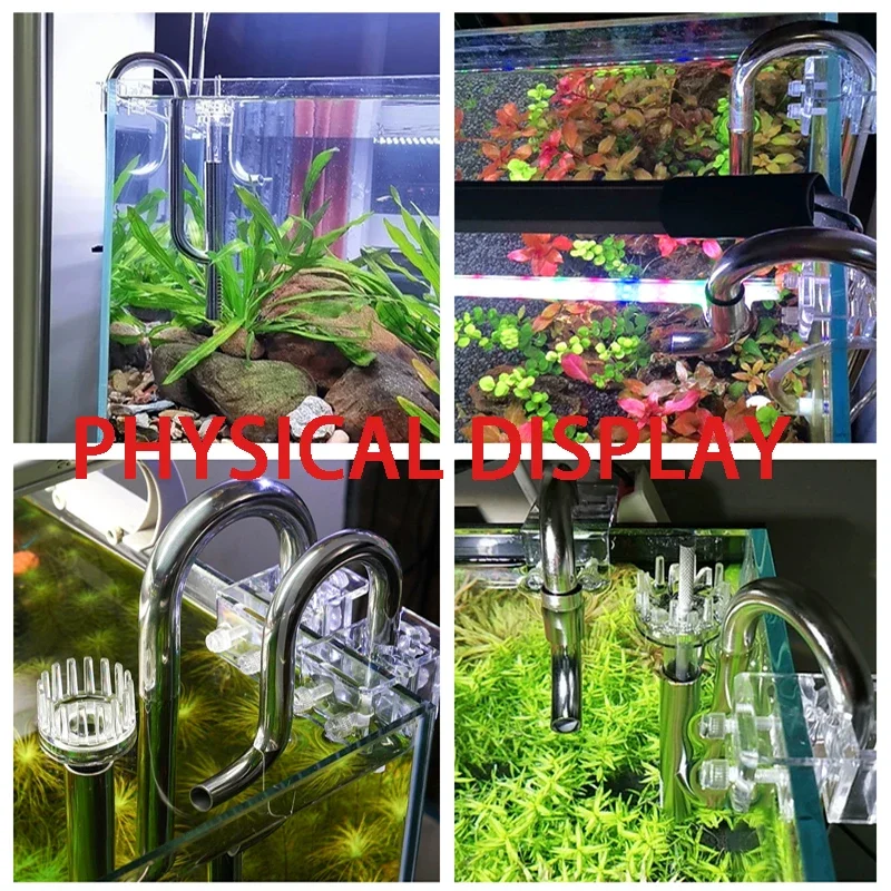 Мембранный фильтр для аквариум – обзор и цена Aquarium Fish Images