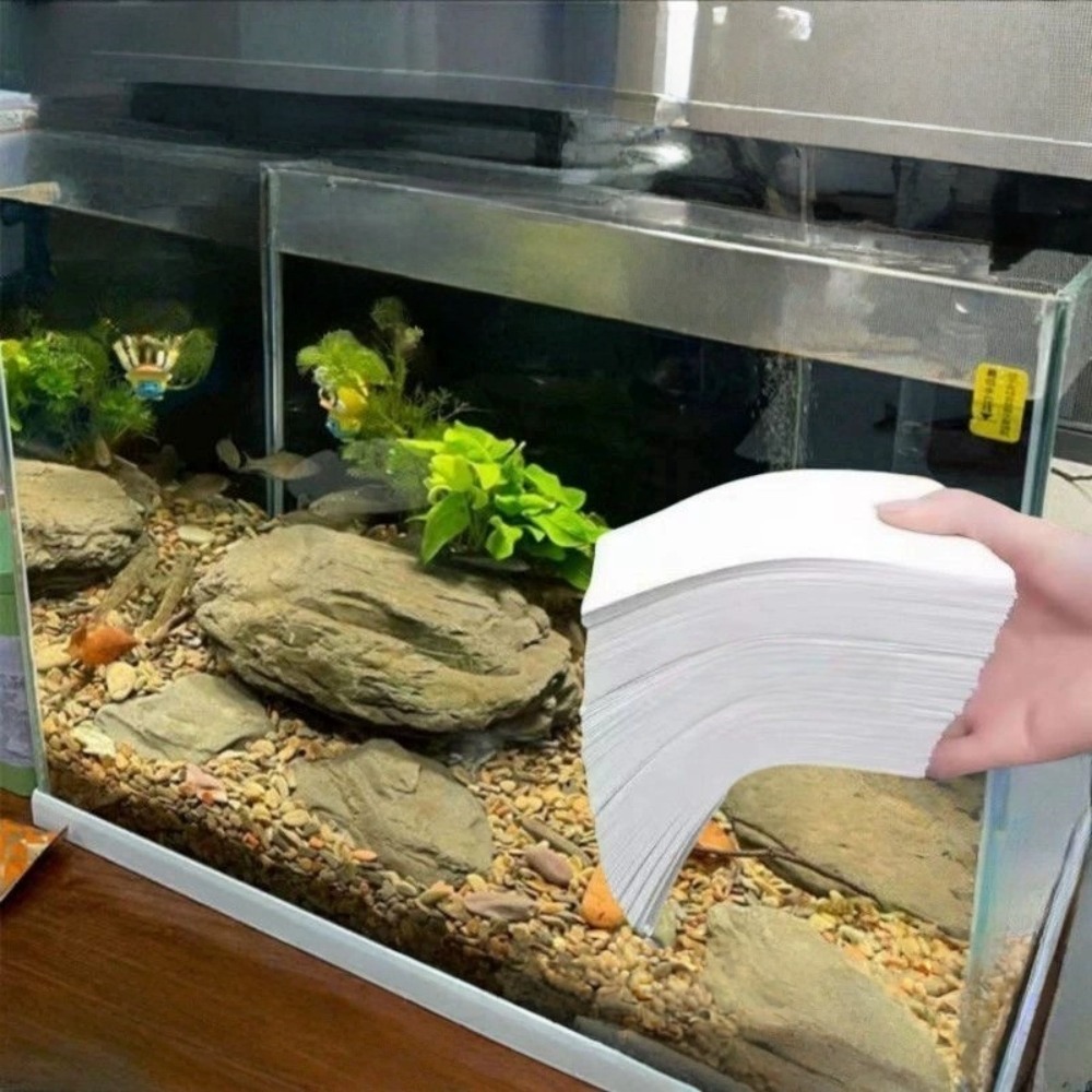 50 шт. многофункциональных фил – обзор и цена Aquarium Fish Yellow