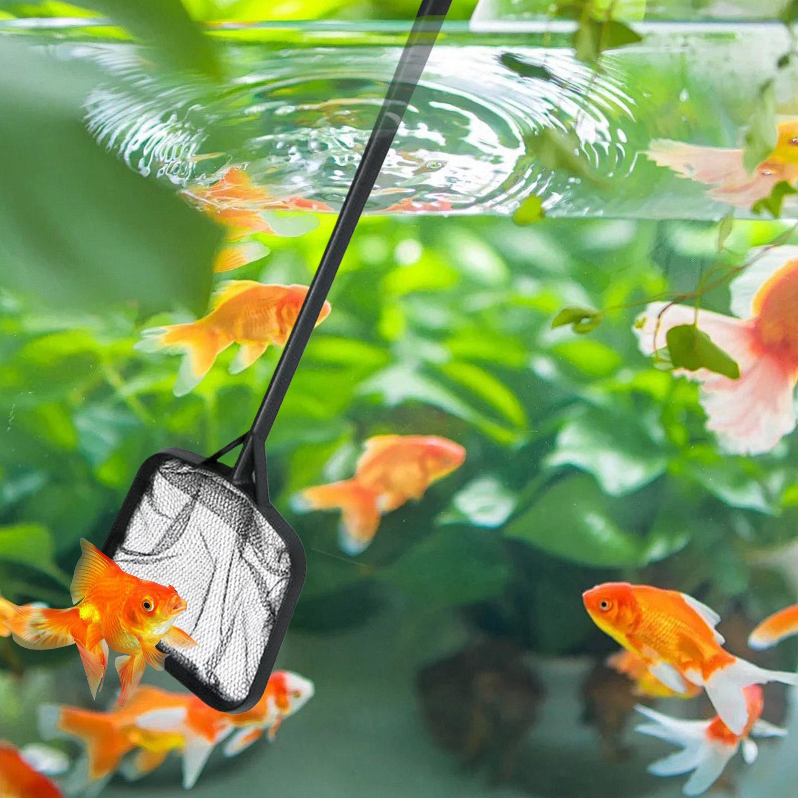 Сетки для чистки бассейнов, по – обзор и цена Aquarium Fish House