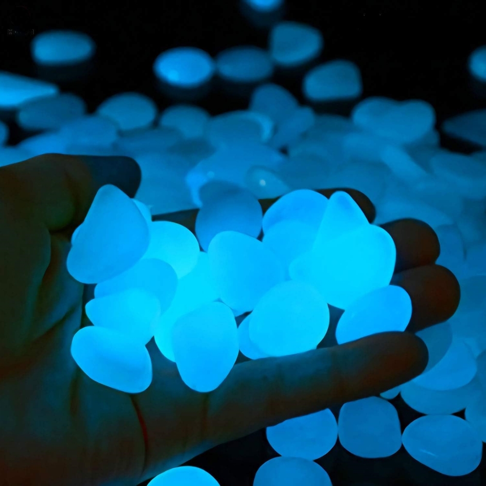 Крытые и уличные садовые камни – обзор и цена Aquarium Fish That Glow In The Dark