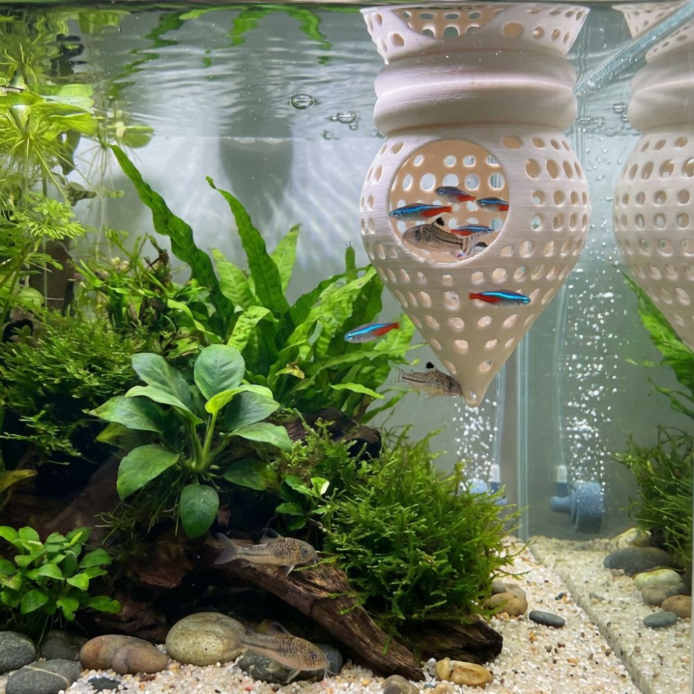 3D-печатный плавающий гамак-ук – обзор и цена Aquarium Fish Cave