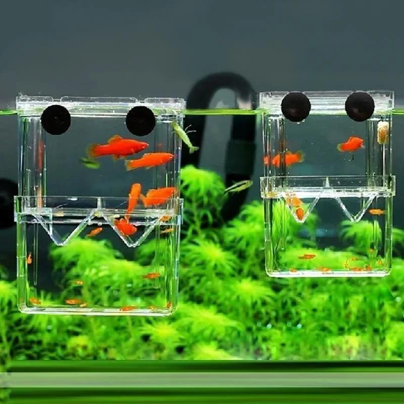 Прозрачный аквариум для рыб, в – обзор и цена Aquarium Fish Cave