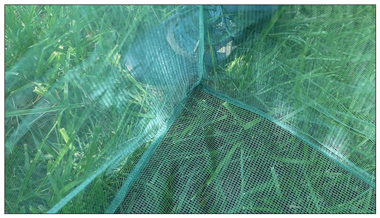 Рыболовный кол 3 мм, маленькая – обзор и цена Aquarium Fish Net Small