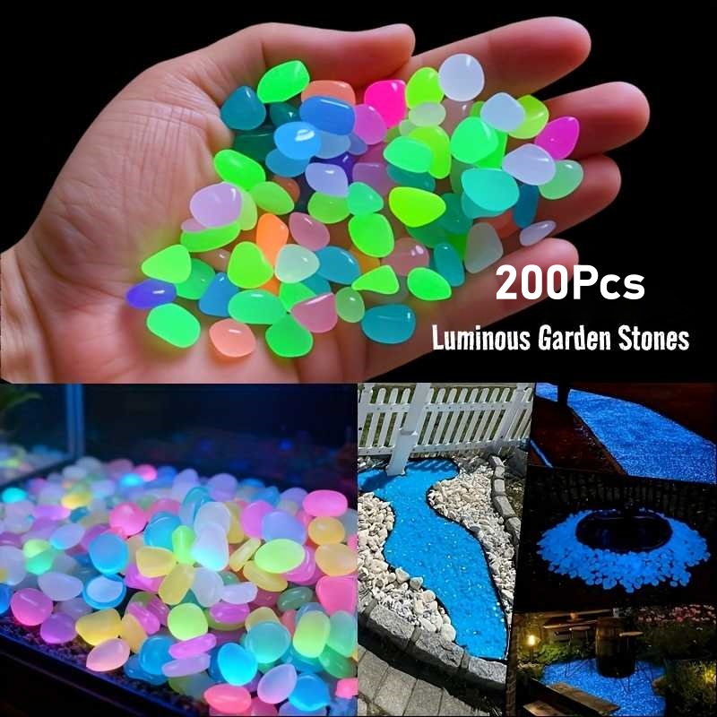 200 шт. светящихся в темноте к – обзор и цена Aquarium Fish That Glow In The Dark
