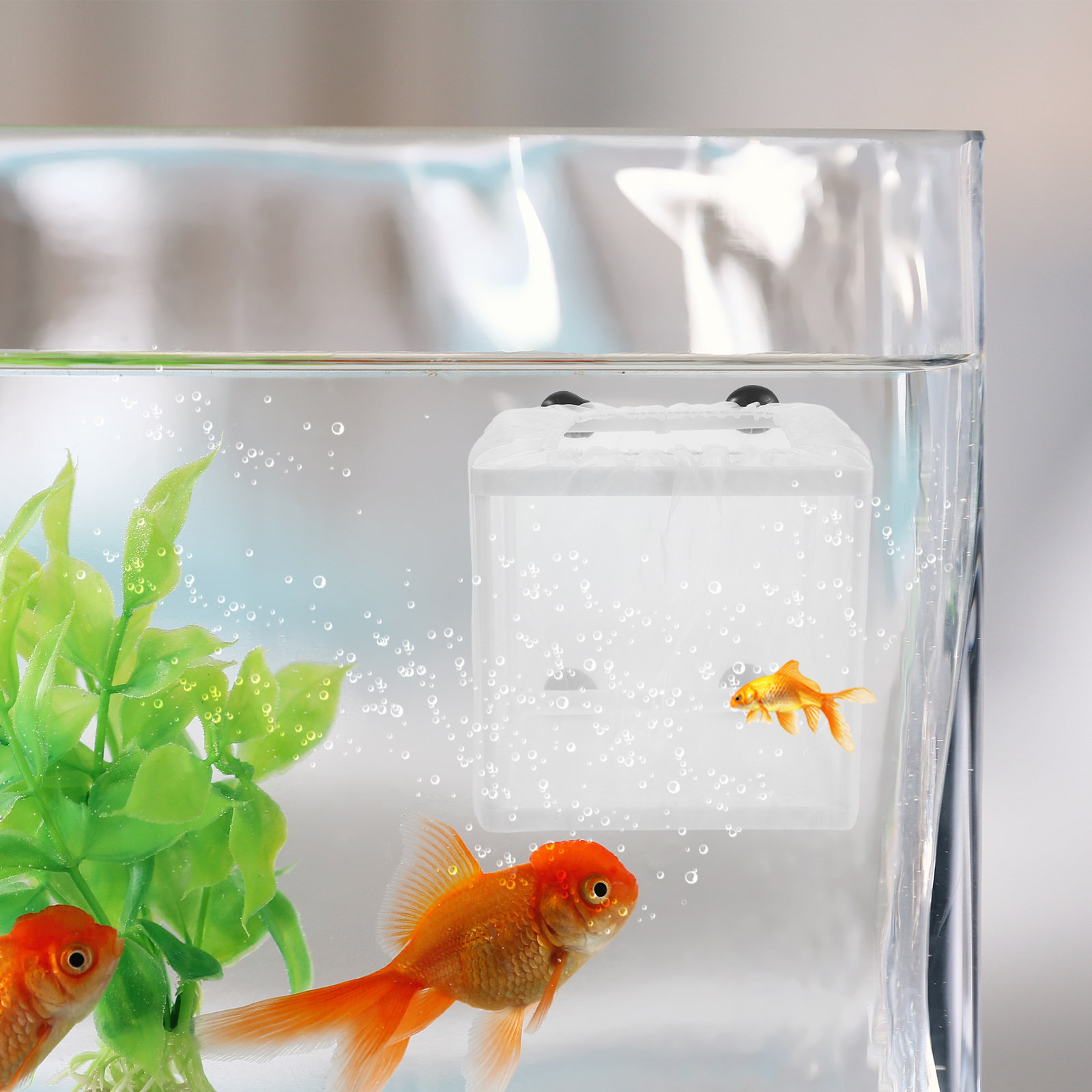 2 шт. изоляционных коробок для – обзор и цена Aquarium Fish Net Small