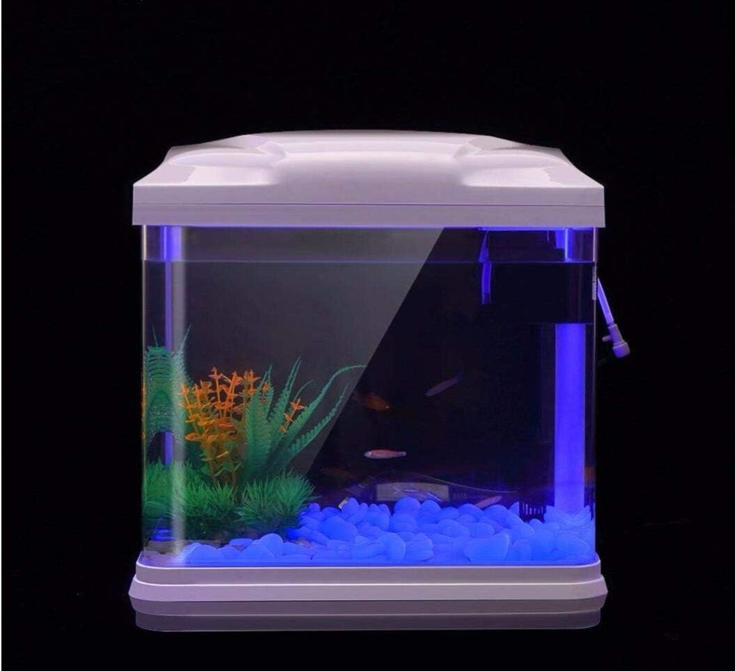 Скели для аквариума, светящиес – обзор и цена Aquarium Fish Store