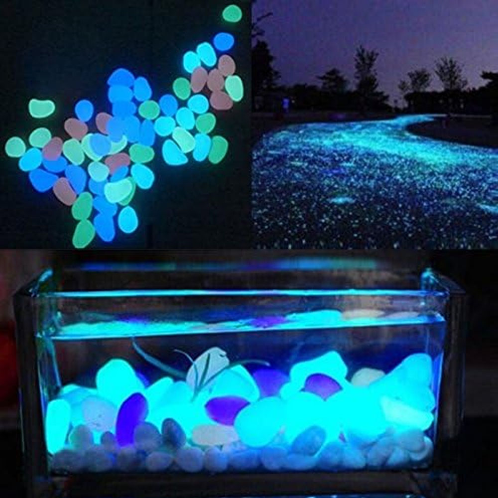 Скели для аквариума, светящиес – обзор и цена Aquarium Fish Store