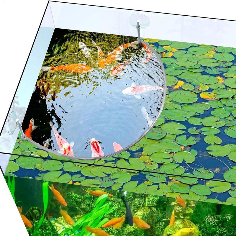 Плавающее кольцо для кормления – обзор и цена Aquarium Fish Store