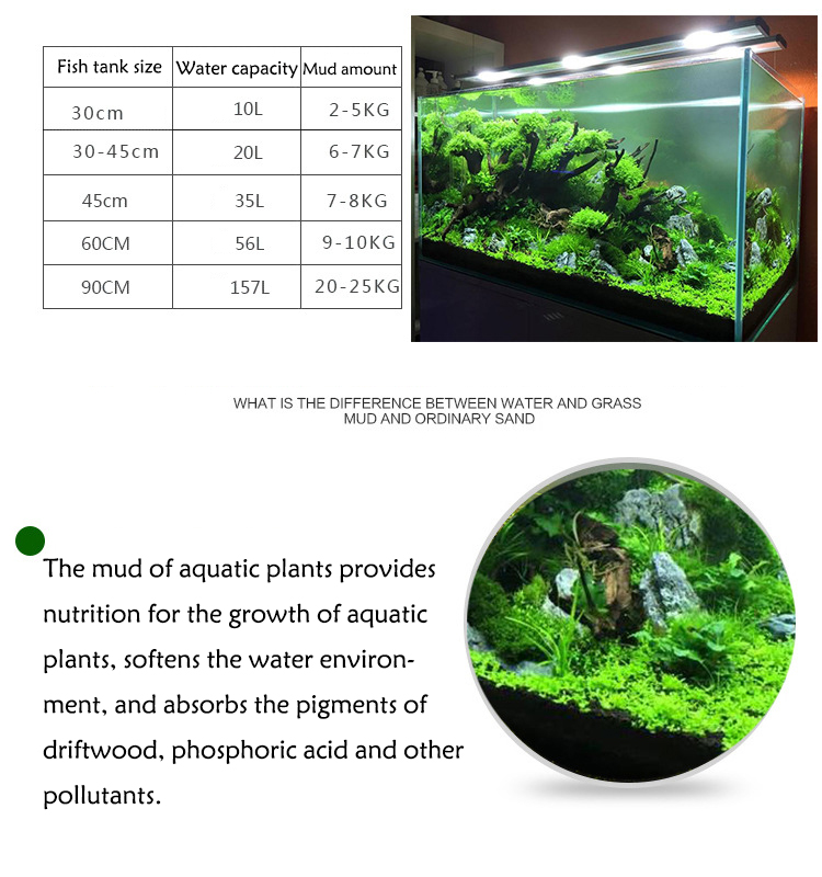 Семена аквариумных растений, п – обзор и цена Aquarium Fish Store
