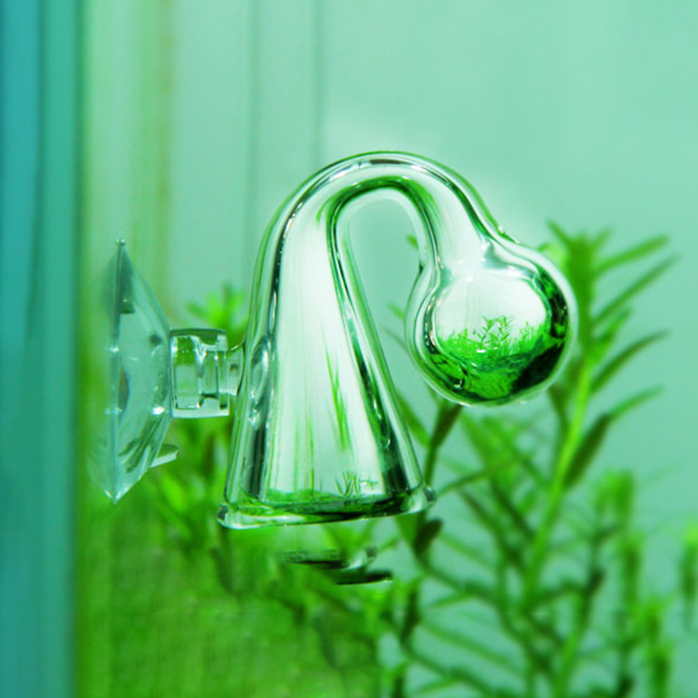 Аквариум CO2, диффузное стекло – обзор и цена Aquarium Fish Store