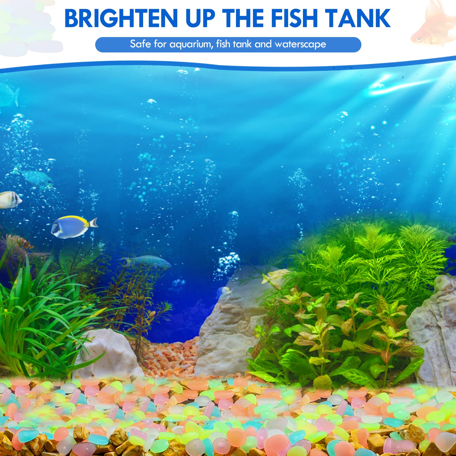 100 шт. светящиеся в темноте с – обзор и цена Aquarium Fish That Glow In The Dark
