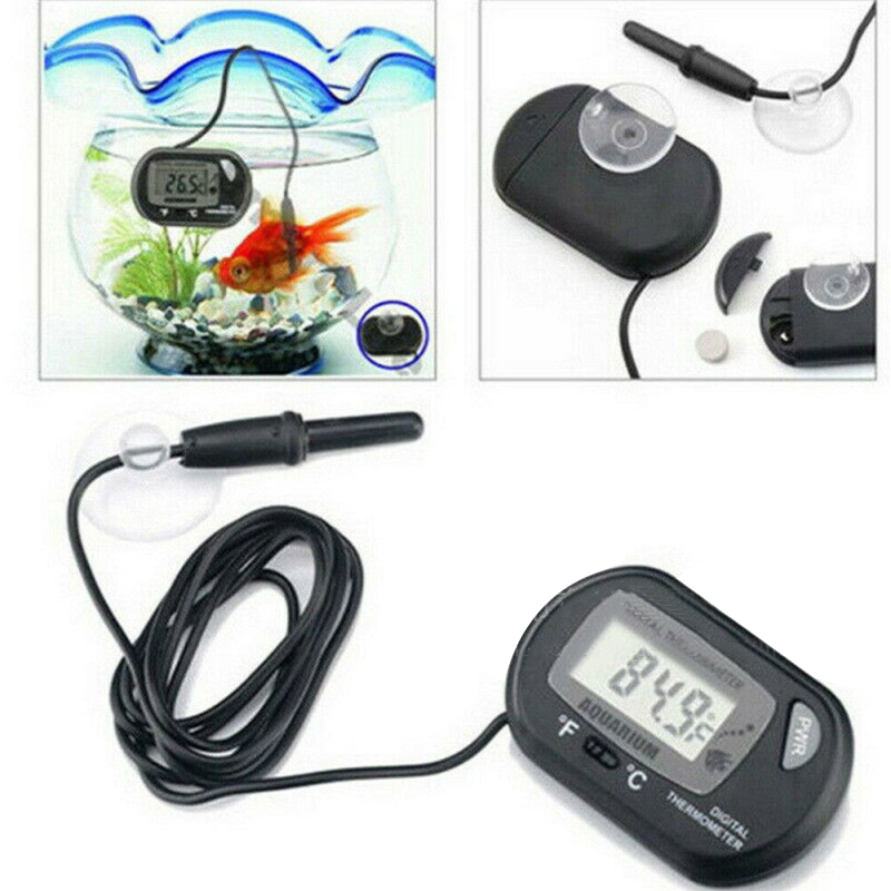 1 шт. 58*37 мм цифровой термом – обзор и цена Aquarium Fish Yellow