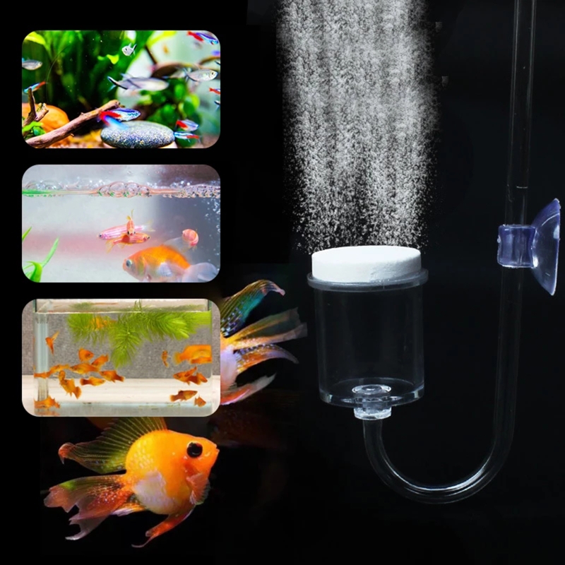4 шт./набор, соленоидный регул – обзор и цена Aquarium Fish Store