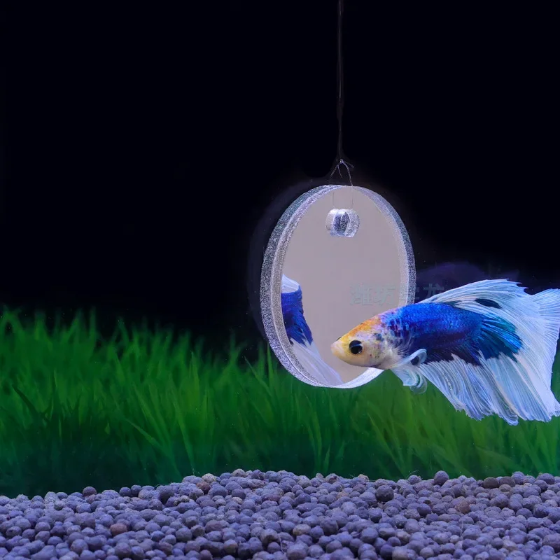 Аквариум Бетта Зеркало Аквариу – обзор и цена Aquarium Fish Escape
