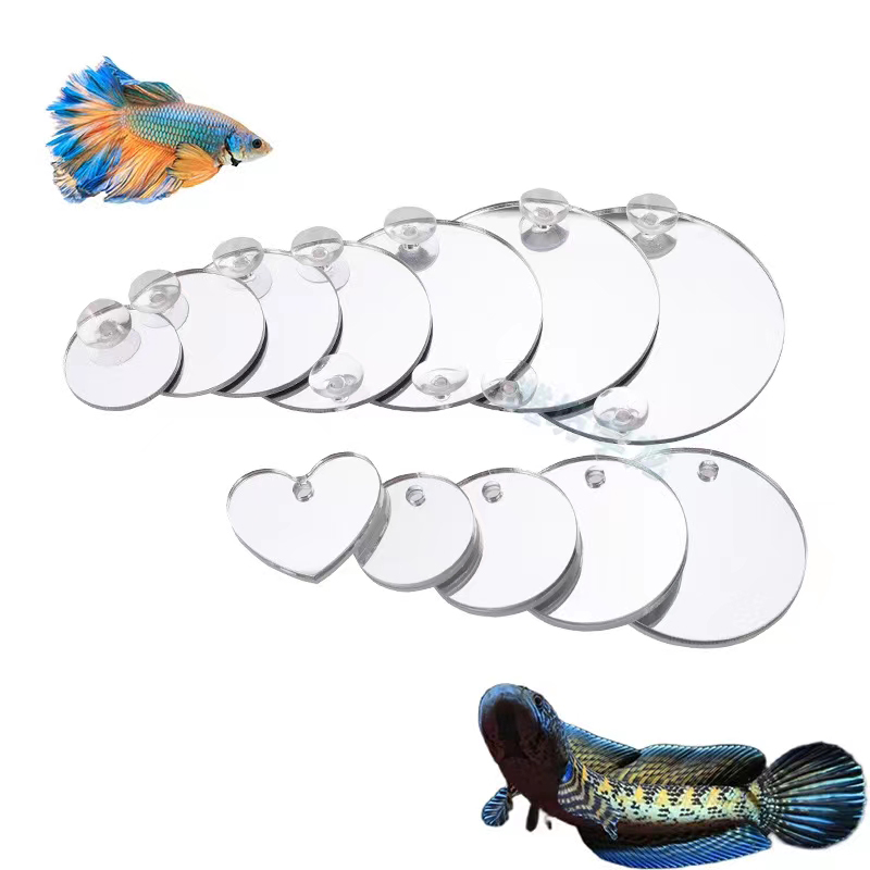 Аквариум Бетта Зеркало Аквариу – обзор и цена Aquarium Fish Escape