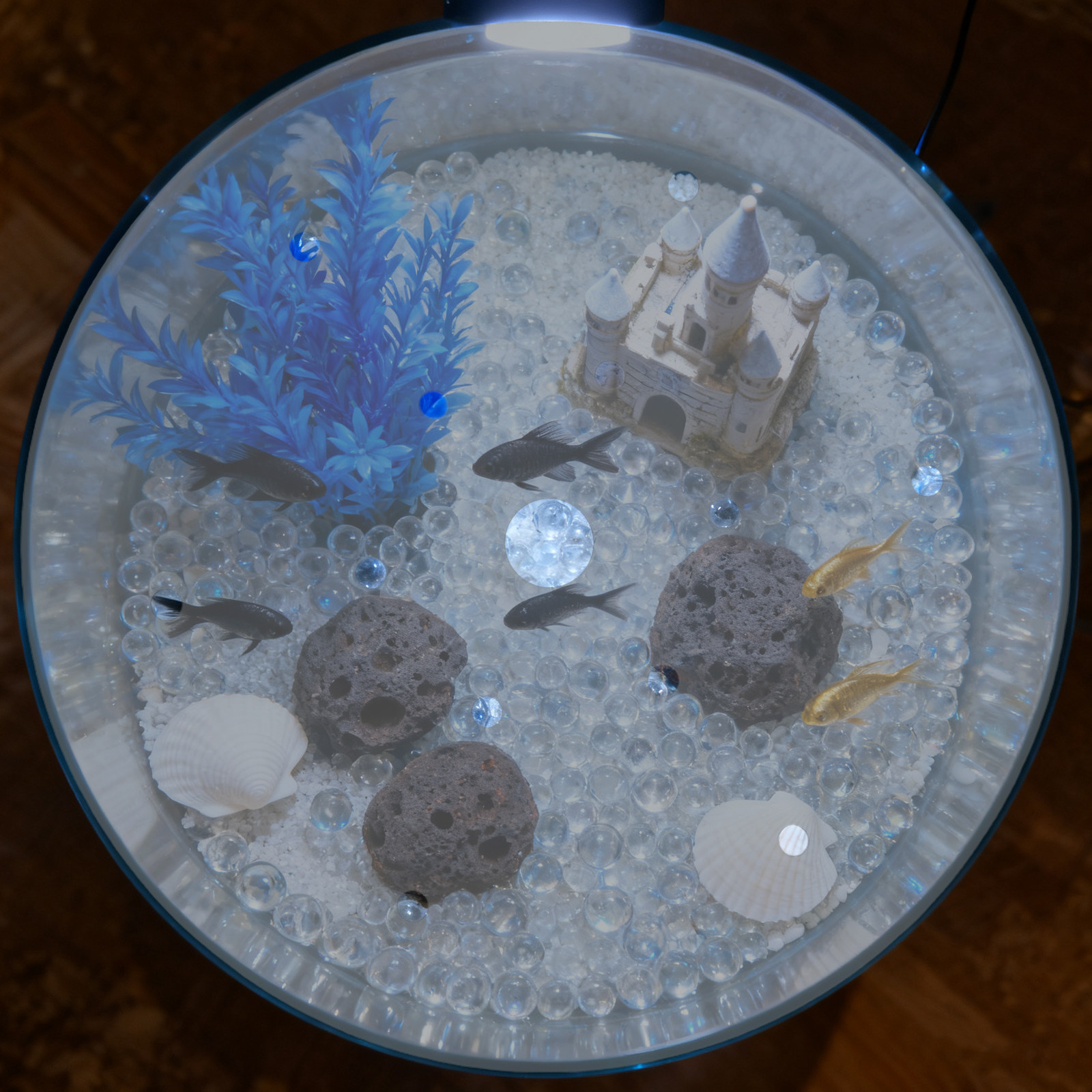 Круглая акриловая крышка для а – обзор и цена Aquarium Fish Escape