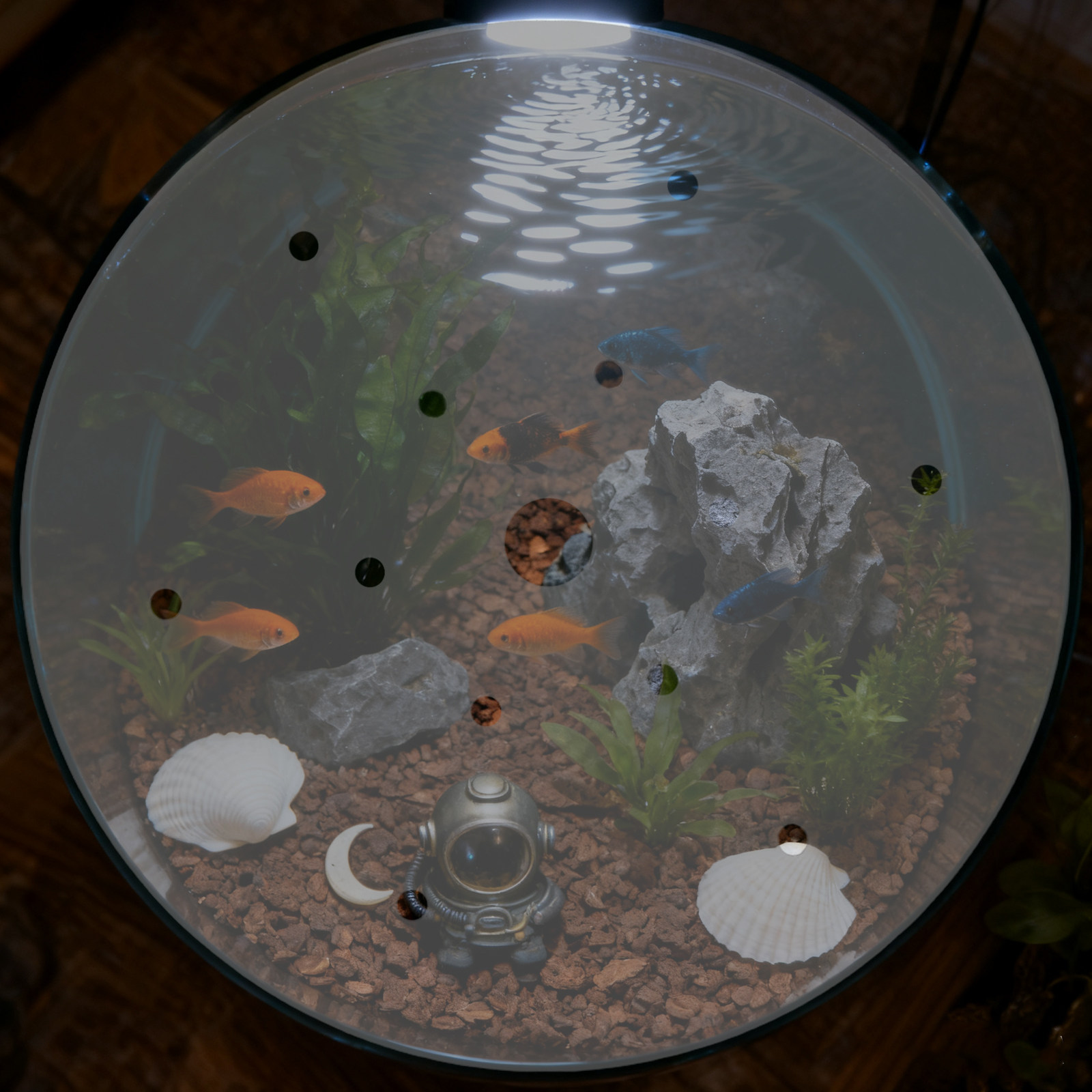 Круглая акриловая крышка для а – обзор и цена Aquarium Fish Escape